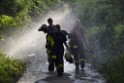 Waldbrand Koeln Hoehenhaus Hoehenfelder Mauspfad P192